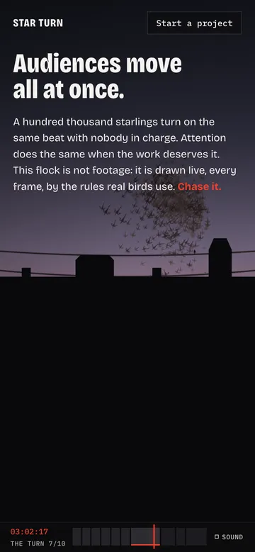 The roost on a phone: the flock landed on the wires as the picture locks