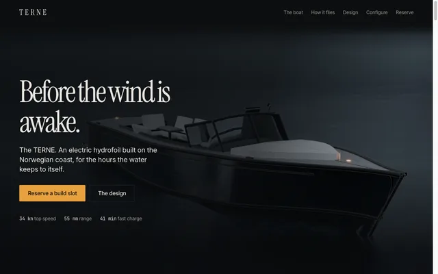 The TERNE hero frame: an electric hydrofoil lying on near-black water at first light