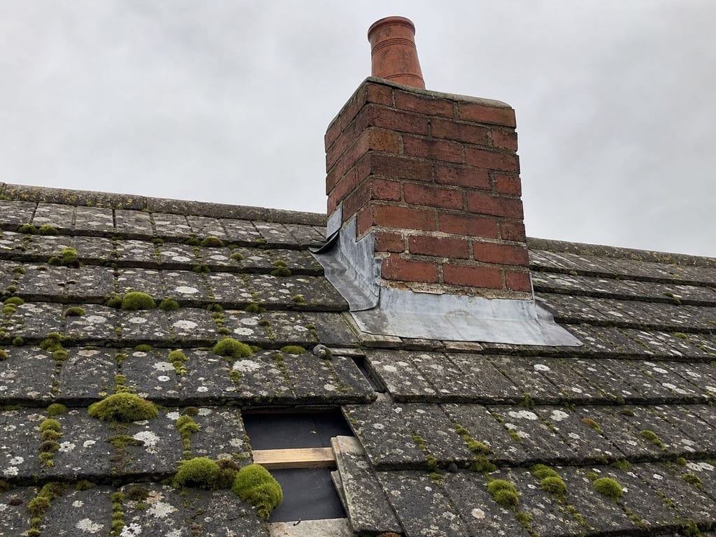 Pre-survey: aged concrete tile roof showing slipped tiles and moss
