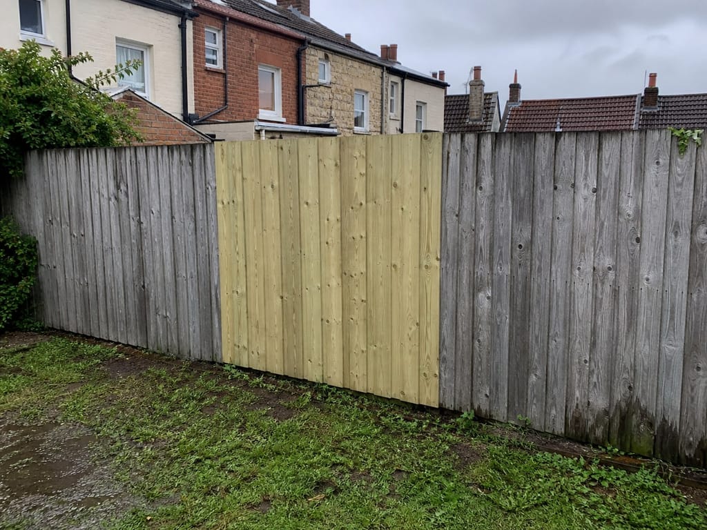 A panel swapped out partway along a Victorian terrace boundary, the fresh pale timber sitting against the older silver-grey run
