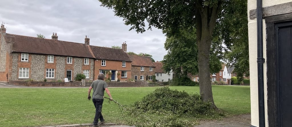 Flint and brick cottages facing the green in Redbourn, with cut brash being dragged clear from under a common-edge tree