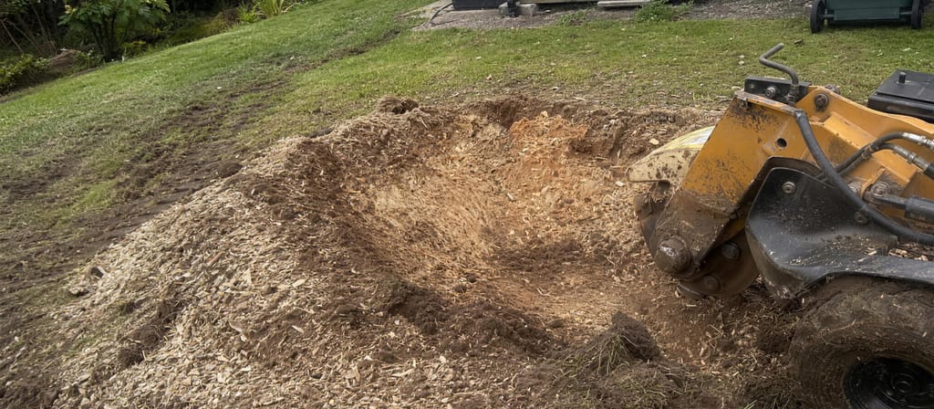 Stump ground out below ground level with pale grindings heaped around the crater and the grinder standing alongside